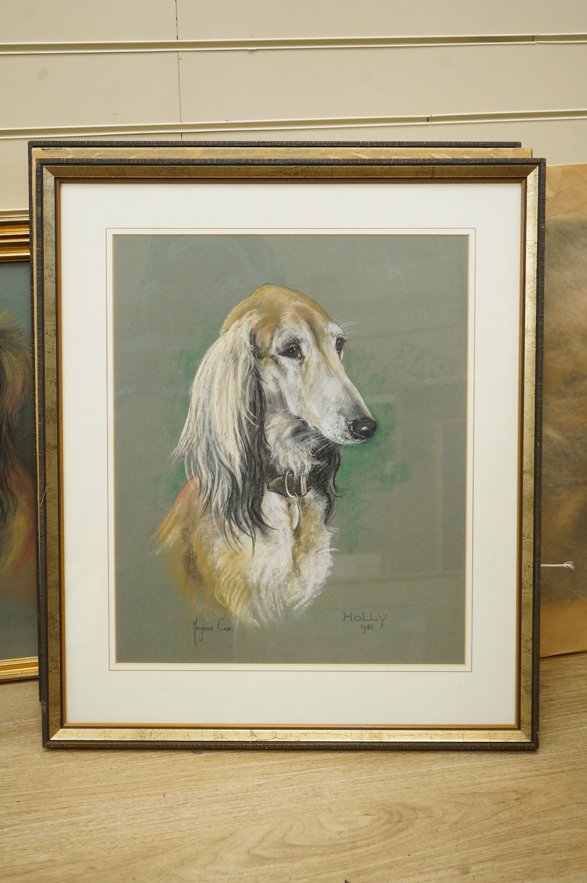 Marjorie Cox (British 1915-2003), six pastel portraits of Salukis and another of a cat, all signed and dated, largest 51 x 41cm